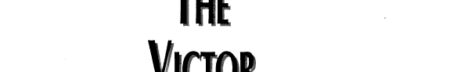 The Victor Within: An Extraordinary Story of Optimism, Tenacity & Sheer Determination