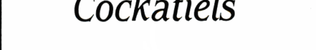 Cockatiels