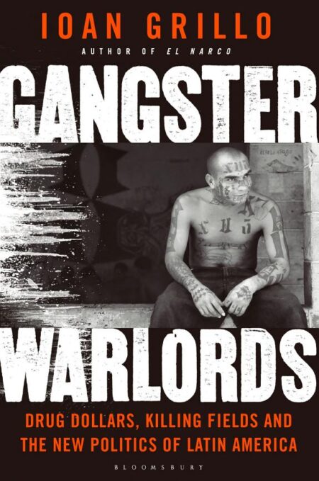 Gangster Warlords: Drug Dollars, Killing Fields, and the New Politics of Latin America