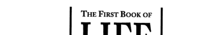 The First Book of Life Skills: 10 Ways to Maximize Your Personal and Professional Potential